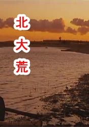 日韩一区二区在线免费观看